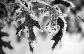 Black and White Fine Art - Let There Be Light Fine Art Photography of Wayne Moran