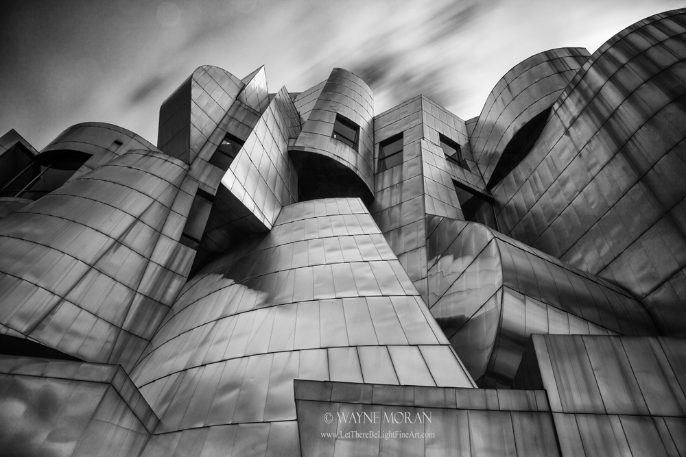 Best Camera Retailer in America Frederick R Weisman Art Museum Minneapolis designed by renowned architect Frank Gehry